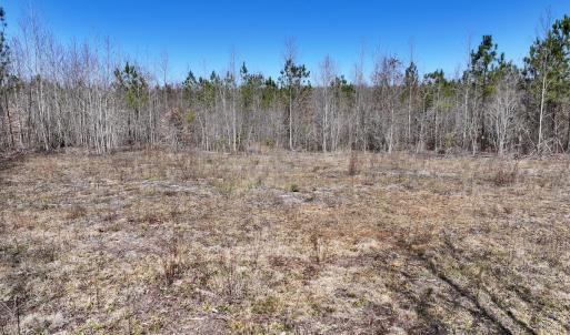 Photo #29 of SOLD property in 05 Beamon Hunt Rd, Warrenton, NC 23.7 acres