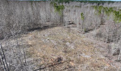 Photo #30 of SOLD property in 05 Beamon Hunt Rd, Warrenton, NC 23.7 acres