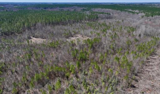 Photo #4 of SOLD property in 05 Beamon Hunt Rd, Warrenton, NC 23.7 acres