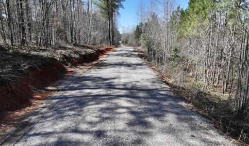 Photo #34 of SOLD property in 05 Beamon Hunt Rd, Warrenton, NC 23.7 acres
