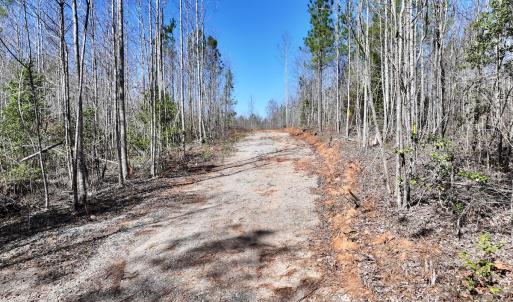 Photo #36 of SOLD property in 05 Beamon Hunt Rd, Warrenton, NC 23.7 acres