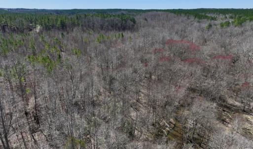 Photo #7 of SOLD property in 05 Beamon Hunt Rd, Warrenton, NC 23.7 acres