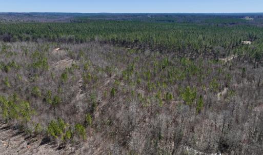 Photo #8 of SOLD property in 05 Beamon Hunt Rd, Warrenton, NC 23.7 acres