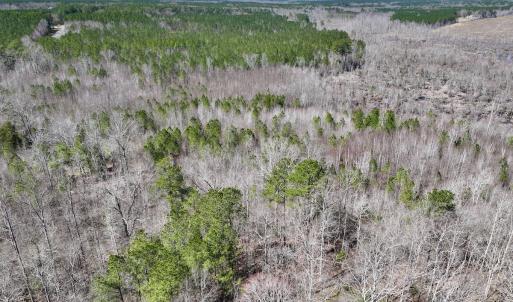 Photo #11 of SOLD property in Off NC Highway 43, Macon, NC 5.0 acres
