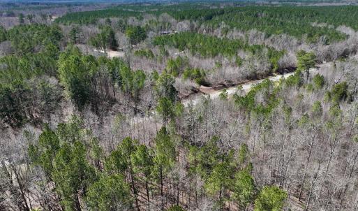 Photo #12 of SOLD property in Off NC Highway 43, Macon, NC 5.0 acres
