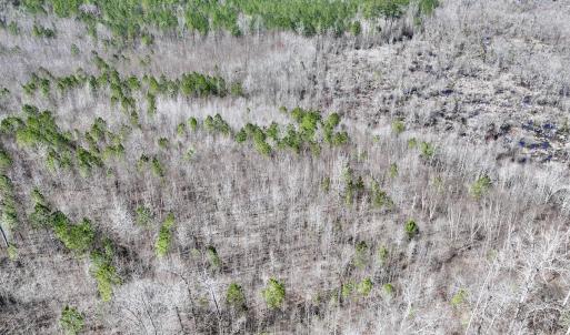 Photo #13 of SOLD property in Off NC Highway 43, Macon, NC 5.0 acres