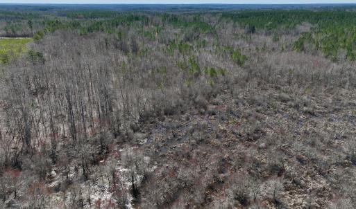 Photo #16 of SOLD property in Off NC Highway 43, Macon, NC 5.0 acres