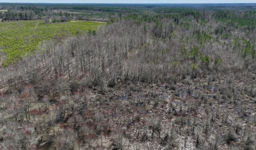 Photo #17 of SOLD property in Off NC Highway 43, Macon, NC 5.0 acres