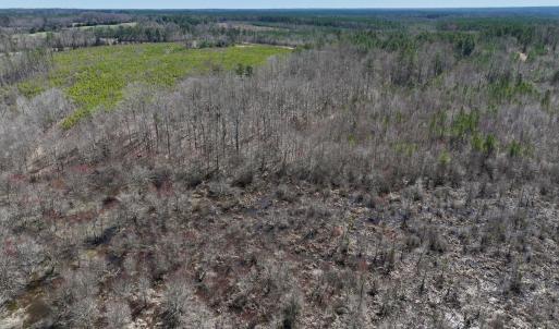 Photo #18 of SOLD property in Off NC Highway 43, Macon, NC 5.0 acres