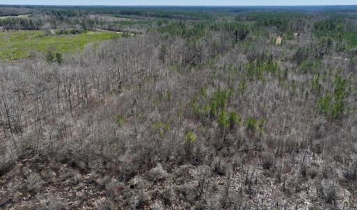 Photo #19 of SOLD property in Off NC Highway 43, Macon, NC 5.0 acres