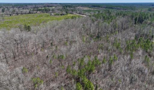 Photo #20 of SOLD property in Off NC Highway 43, Macon, NC 5.0 acres