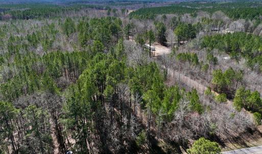 Photo #3 of SOLD property in Off NC Highway 43, Macon, NC 5.0 acres