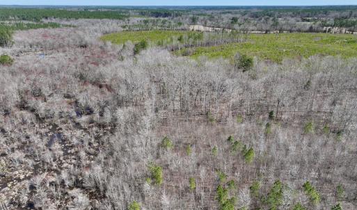 Photo #21 of SOLD property in Off NC Highway 43, Macon, NC 5.0 acres