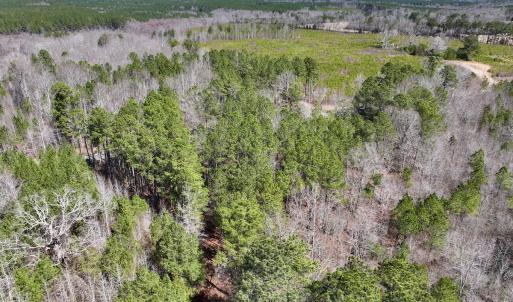 Photo #6 of SOLD property in Off NC Highway 43, Macon, NC 5.0 acres