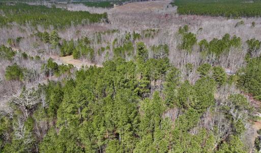 Photo #7 of SOLD property in Off NC Highway 43, Macon, NC 5.0 acres