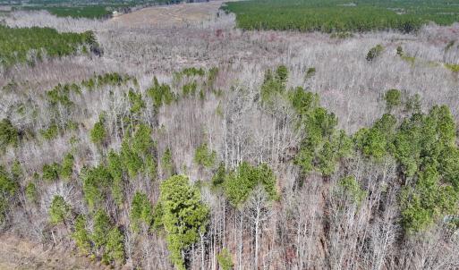 Photo #8 of SOLD property in Off NC Highway 43, Macon, NC 5.0 acres