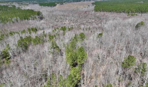 Photo #9 of SOLD property in Off NC Highway 43, Macon, NC 5.0 acres
