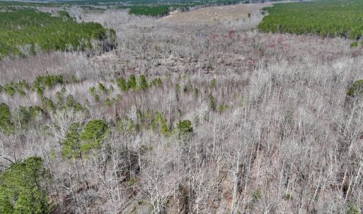 Photo #10 of SOLD property in Off NC Highway 43, Macon, NC 5.0 acres