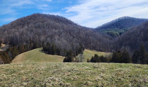 Photo #2 of SOLD property in Off Mt. Herman Rd, Middlebrook, VA 243.1 acres