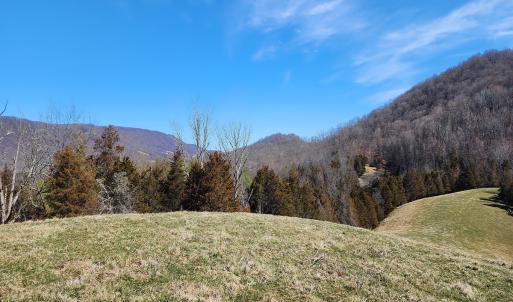 Photo #3 of SOLD property in Off Mt. Herman Rd, Middlebrook, VA 243.1 acres