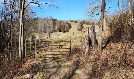 Photo #5 of SOLD property in Off Mt. Herman Rd, Middlebrook, VA 243.1 acres