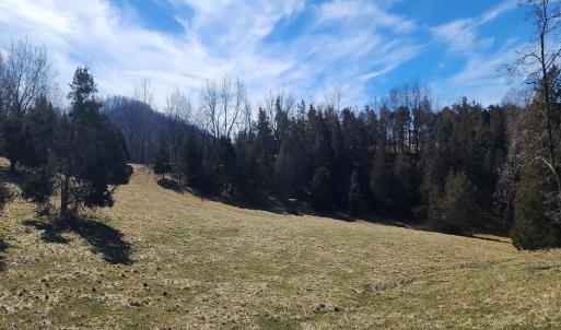 Photo #6 of SOLD property in Off Mt. Herman Rd, Middlebrook, VA 243.1 acres