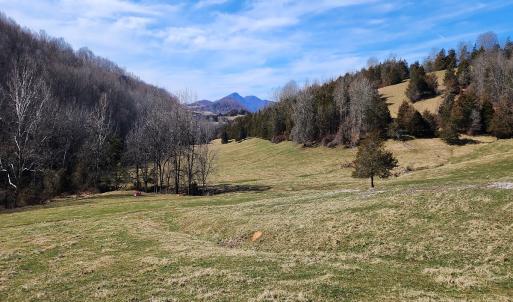 Photo #7 of SOLD property in Off Mt. Herman Rd, Middlebrook, VA 243.1 acres