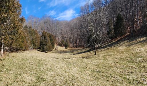 Photo #8 of SOLD property in Off Mt. Herman Rd, Middlebrook, VA 243.1 acres