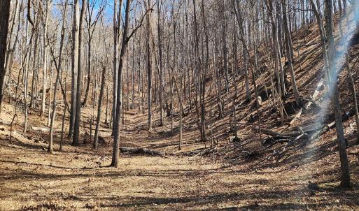 Photo #9 of SOLD property in Off Mt. Herman Rd, Middlebrook, VA 243.1 acres