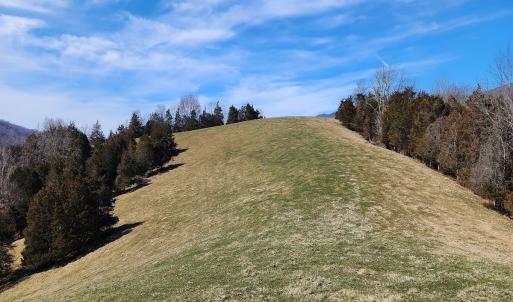 Photo #14 of SOLD property in Off Mt. Herman Rd, Middlebrook, VA 243.1 acres