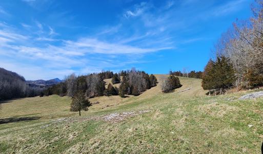 Photo #15 of SOLD property in Off Mt. Herman Rd, Middlebrook, VA 243.1 acres