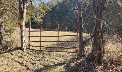 Photo #16 of SOLD property in Off Mt. Herman Rd, Middlebrook, VA 243.1 acres