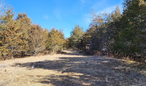 Photo #18 of SOLD property in Off Mt. Herman Rd, Middlebrook, VA 243.1 acres