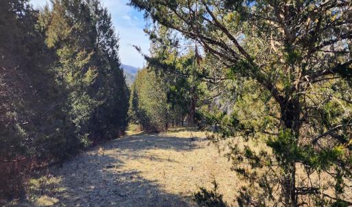 Photo #19 of SOLD property in Off Mt. Herman Rd, Middlebrook, VA 243.1 acres