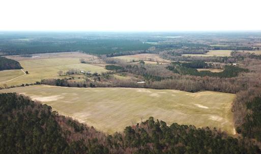 Photo #8 of SOLD property in 30093 Millfield Rd, Wakefield, VA 89.5 acres