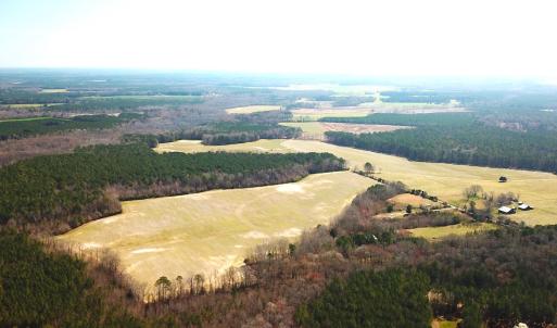 Photo #9 of SOLD property in 30093 Millfield Rd, Wakefield, VA 89.5 acres