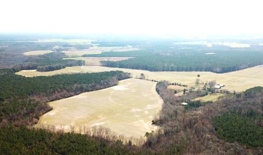 Photo #10 of SOLD property in 30093 Millfield Rd, Wakefield, VA 89.5 acres