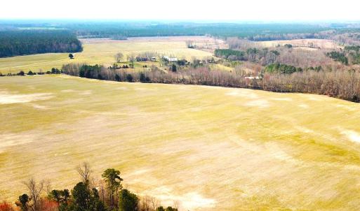 Photo #12 of SOLD property in 30093 Millfield Rd, Wakefield, VA 89.5 acres