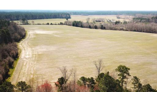 Photo #13 of SOLD property in 30093 Millfield Rd, Wakefield, VA 89.5 acres