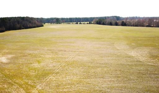 Photo #14 of SOLD property in 30093 Millfield Rd, Wakefield, VA 89.5 acres