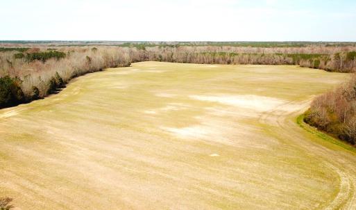 Photo #15 of SOLD property in 30093 Millfield Rd, Wakefield, VA 89.5 acres