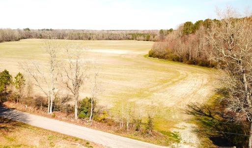 Photo #16 of SOLD property in 30093 Millfield Rd, Wakefield, VA 89.5 acres
