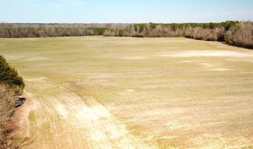 Photo #18 of SOLD property in 30093 Millfield Rd, Wakefield, VA 89.5 acres