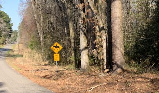 Photo #27 of SOLD property in 30093 Millfield Rd, Wakefield, VA 89.5 acres