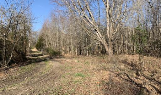 Photo #31 of SOLD property in 30093 Millfield Rd, Wakefield, VA 89.5 acres