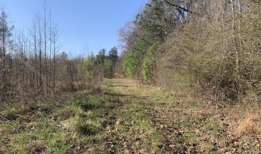 Photo #35 of SOLD property in 30093 Millfield Rd, Wakefield, VA 89.5 acres