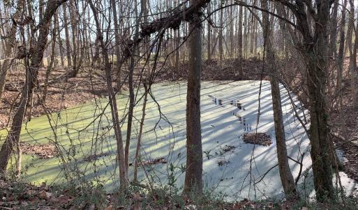 Photo #38 of SOLD property in 30093 Millfield Rd, Wakefield, VA 89.5 acres