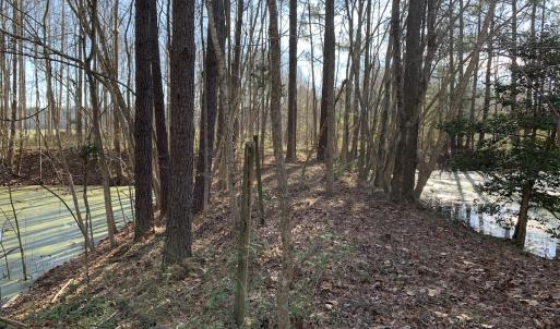 Photo #39 of SOLD property in 30093 Millfield Rd, Wakefield, VA 89.5 acres