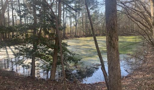 Photo #40 of SOLD property in 30093 Millfield Rd, Wakefield, VA 89.5 acres