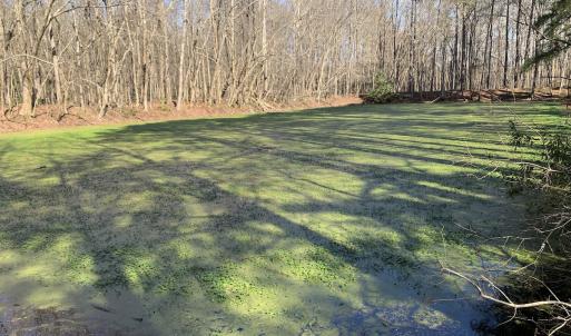 Photo #41 of SOLD property in 30093 Millfield Rd, Wakefield, VA 89.5 acres